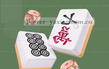 深夜探幽的旅人 能听见树叶呼吸